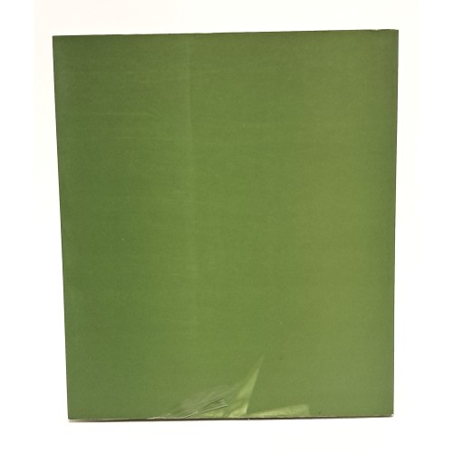 Il segno come sensazione e trasparenza: monografia sul pittore Carlo Treu