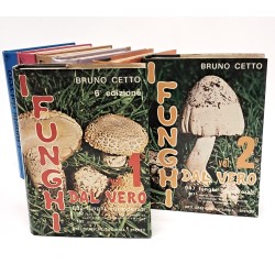 I funghi dal vero I-VII 2
