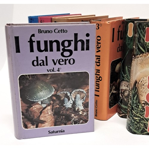I funghi dal vero I-VII