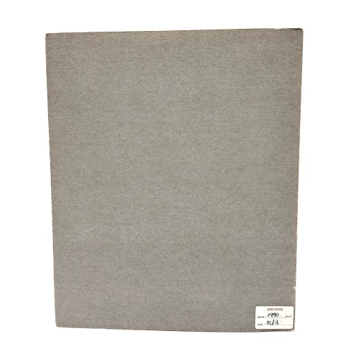 Enrico Del Torso fotografo 1876-1955