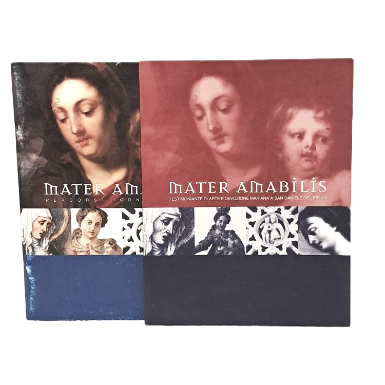 Mater Amabilis testimonianze di arte e devozione mariana a San Daniele del Friuli