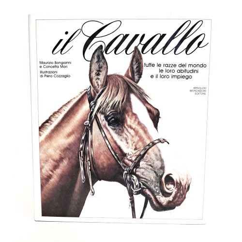 Il cavallo