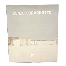 La pittura poetica e rarefatta di Renzo Codognotto