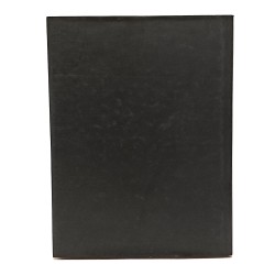 Luigi Spazzapan. La collezione della cassa di risparmio di Gorizia 2