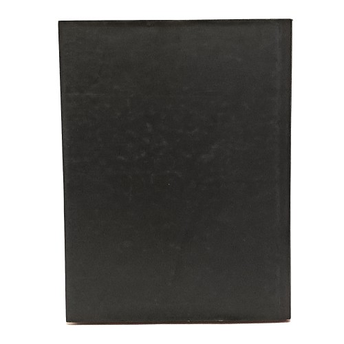 Luigi Spazzapan. La collezione della cassa di risparmio di Gorizia