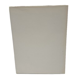 Bergagna e Rossini (postimpressionismo a Trieste) 2