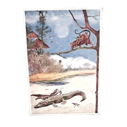 Curiosità nella vita degli animali 2