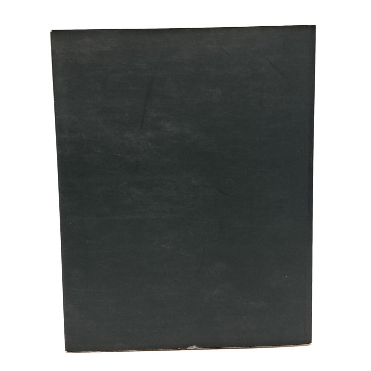 Guido Tavagnacco pittore