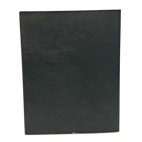 Guido Tavagnacco pittore