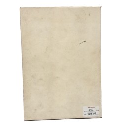 Il pittore Domenico Someda 2