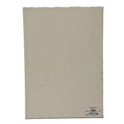 Iconografia risorgimentale nel Friuli (1797-1866) 2