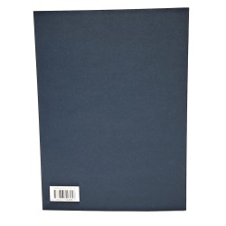 La collezione Astaldi. Capolavori italiani del Novecento 2