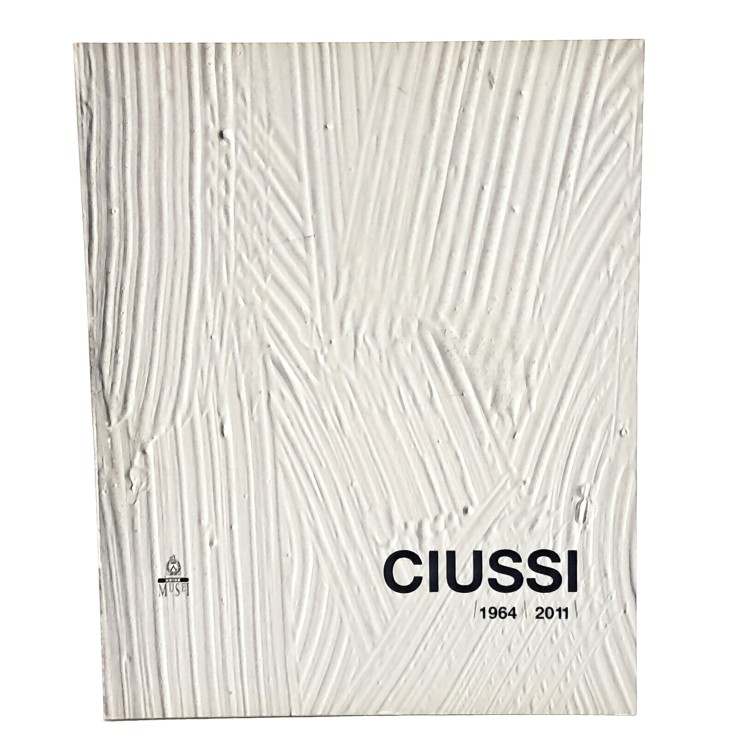 Ciussi 1964-2011. Tutte le visioni del colore
