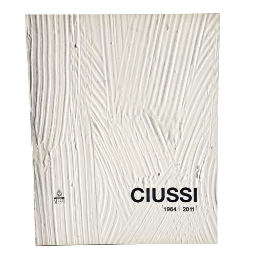 Ciussi 1964-2011. Tutte le visioni del colore