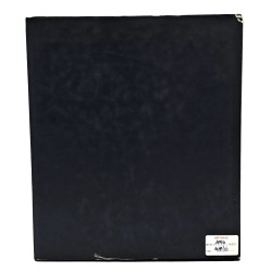 Francesco Bierti pittore. Il sogno di una vita 2