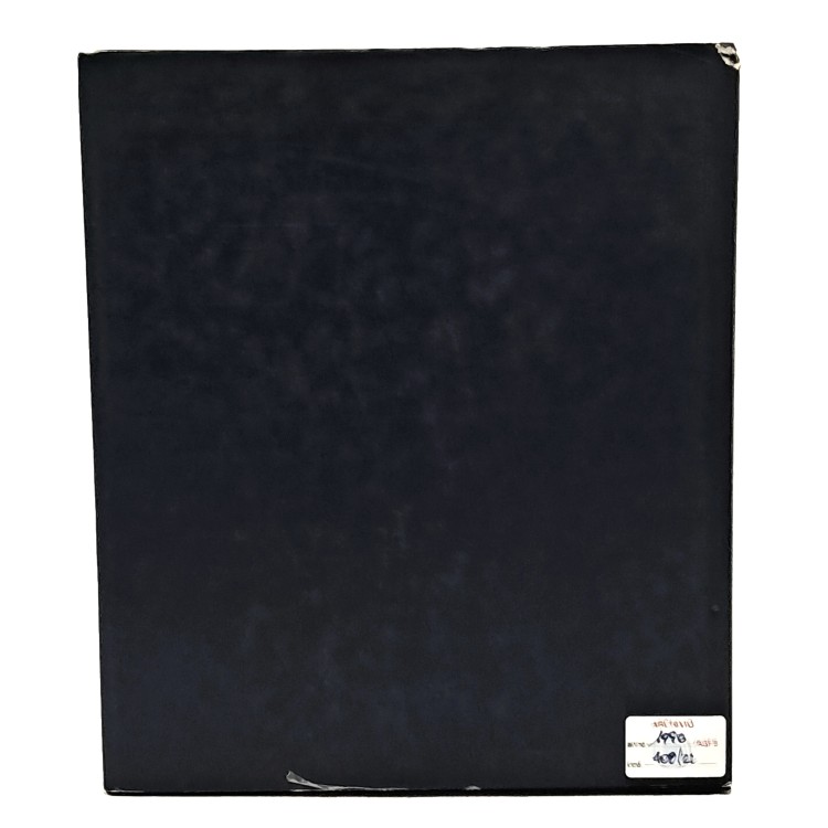 Francesco Bierti pittore. Il sogno di una vita