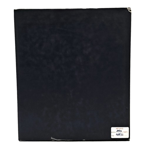 Francesco Bierti pittore. Il sogno di una vita