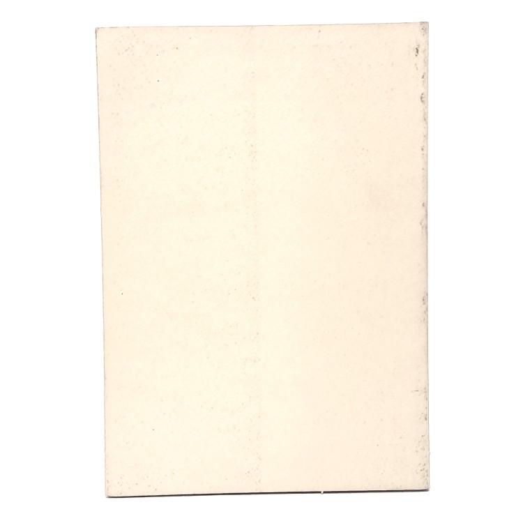 Pino Mucchiut mostra antologica 1924-1990