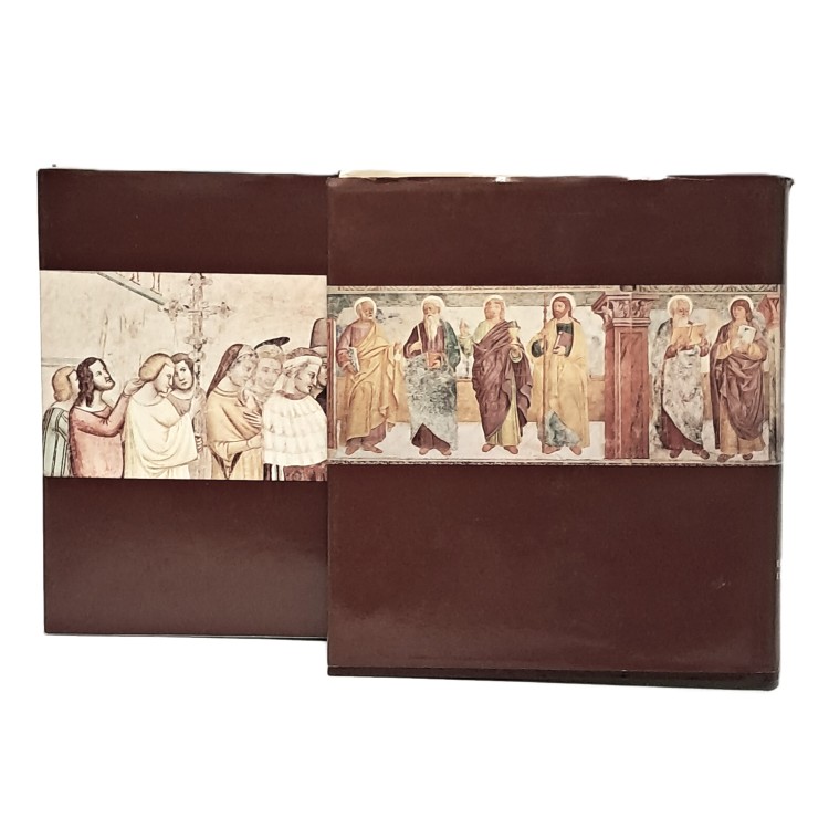 Profilo di storia dell'arte in Friuli. I. Dalla preistoria al gotico e II.