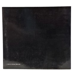 Fabio Mauroner incisore 2