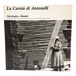 La Carnia di Antonelli. Ideologia e realtà