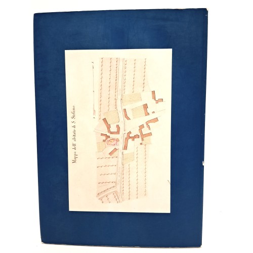 Il furìp e la grise. Toponomastiche storiche di S. Scjefin e Tissan