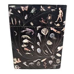 La filosofia della natura 2