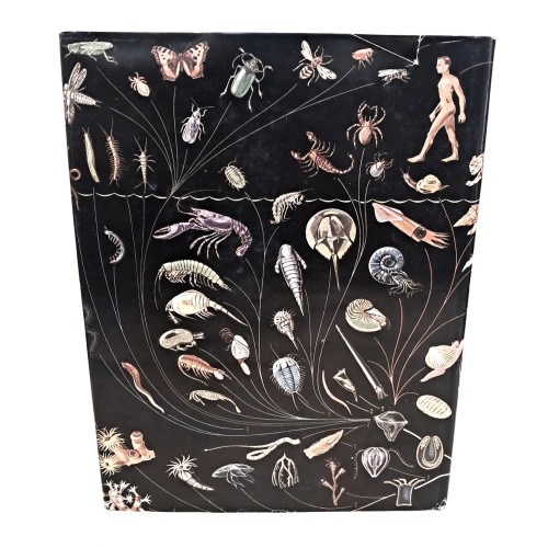 La filosofia della natura