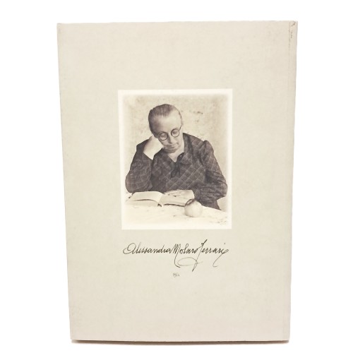 L'alta valle del Torre