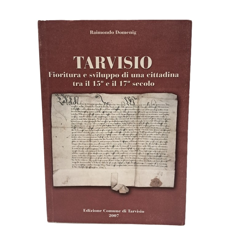 Tarvisio. Fioritura e sviluppo di una cittadina tra il 15° e il 17° secolo