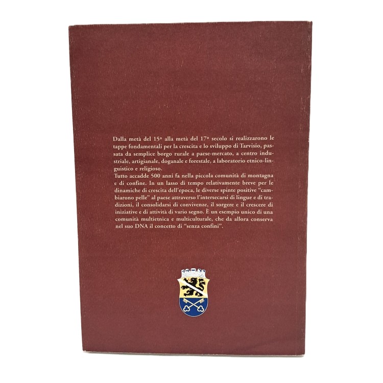 Tarvisio. Fioritura e sviluppo di una cittadina tra il 15° e il 17° secolo