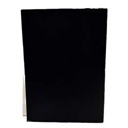 Dudovich & C. I triestini nel cartellonismo italiano 2