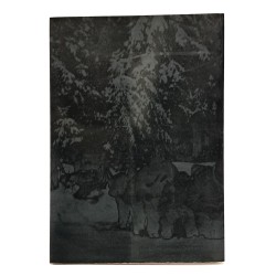 Un paese e i suoi alpini. Cento anni di tradizione alpina a Morsano di Strada 2