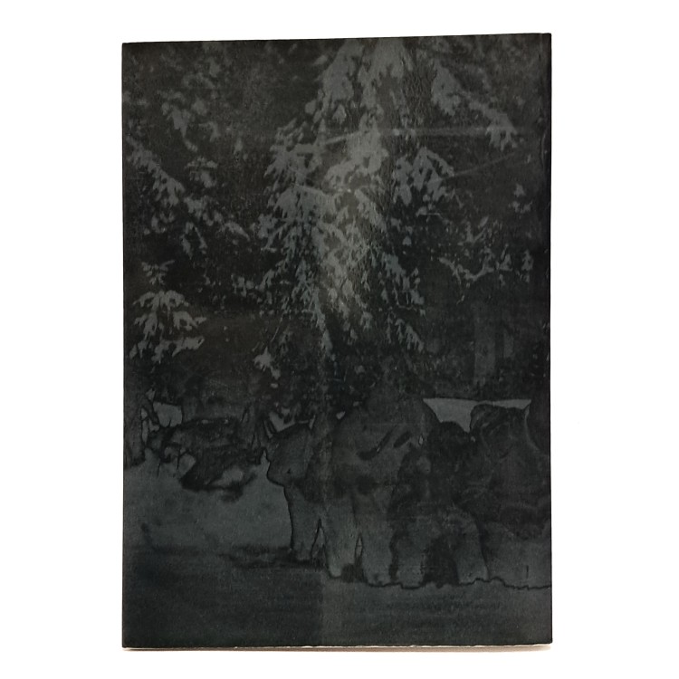 Un paese e i suoi alpini. Cento anni di tradizione alpina a Morsano di Strada