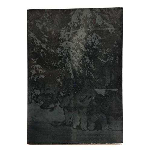 Un paese e i suoi alpini. Cento anni di tradizione alpina a Morsano di Strada