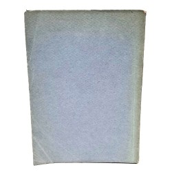 Ritratto di signora 2