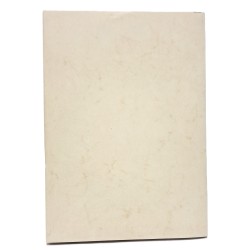 Collezione De Brandis del Gabinetto Numismatico dei Civici Musei di Udine. Monete della Sicilia antica 2