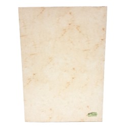 Delle medaglie carnico-illiriche 2