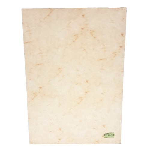 Delle medaglie carnico-illiriche