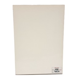 Economia e società nella media e bassa pianura friulana. L'uomo, la storia le attività 2