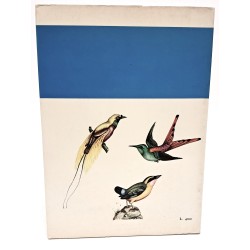 Uccelli da gabbia e voliera di tutto il mondo 2