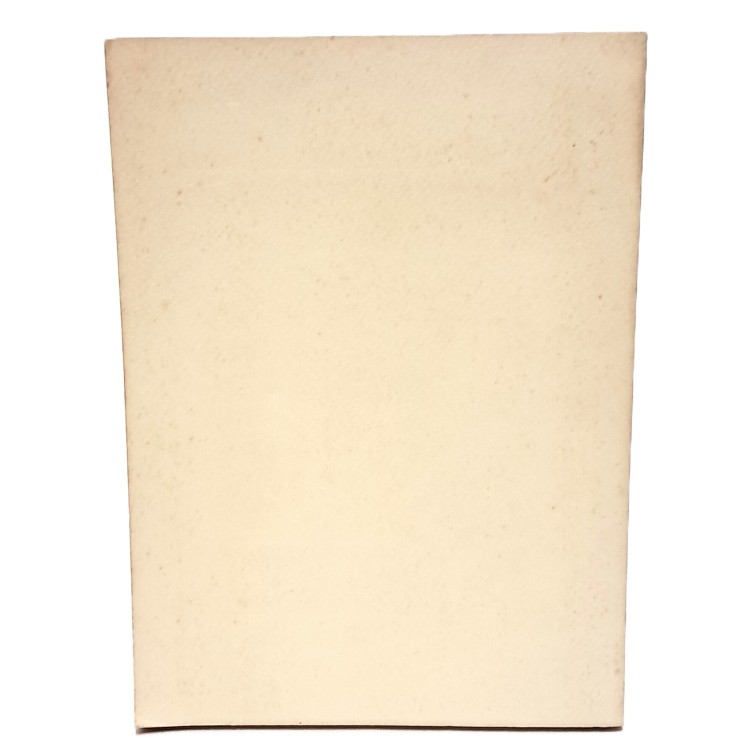 Alla mercè dei barbari. Gli austriaci in Friuli (diario)