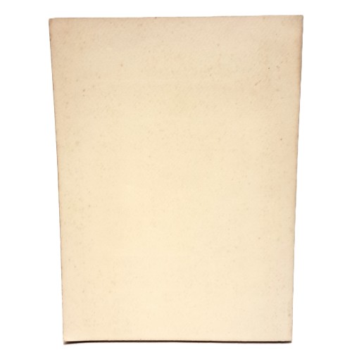 Alla mercè dei barbari. Gli austriaci in Friuli (diario)