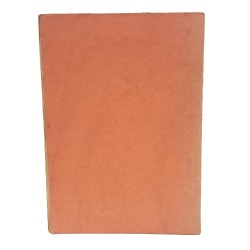 Diario storico della Divisione Garibaldi Carnia 2