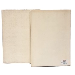 Il Friuli nel Risorgimento I-II 2