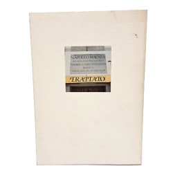 Napoleone Bonaparte e il trattato di Campoformido del 1797 2