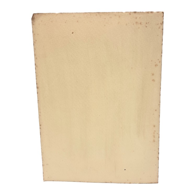 Le epigrafi del Friuli concernenti il risorgimento nazionale