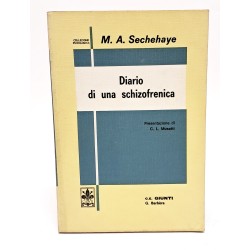 Diario di una schizofrenica