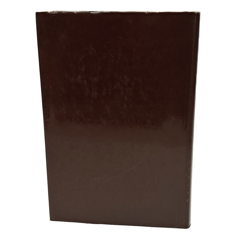 Castelli del Friuli II: Gastaldie e giurisdizioni del Friuli centrale