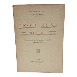 I moti del '64 nel Friuli